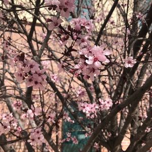 Meet your Posher, Lorena